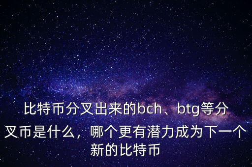 比特幣分叉出來(lái)的bch、btg等分叉幣是什么，哪個(gè)更有潛力成為下一個(gè)新的比特幣