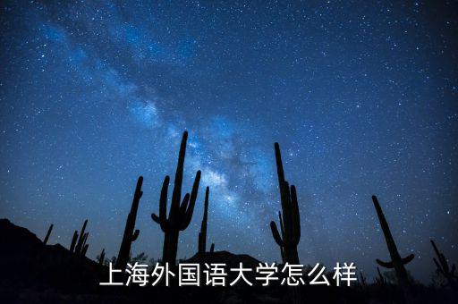 上海歐薩怎么樣,上海外國語大學怎么樣