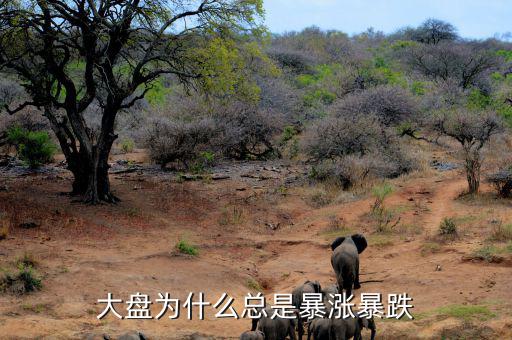 大盤為什么總是暴漲暴跌