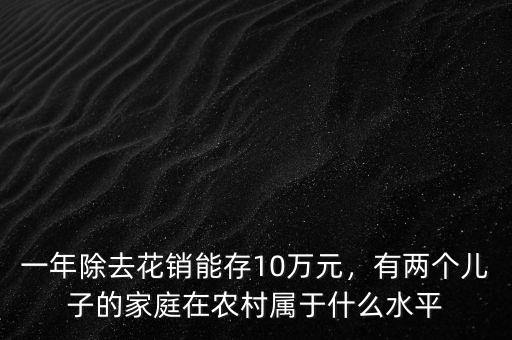 一年除去花銷能存10萬元，有兩個(gè)兒子的家庭在農(nóng)村屬于什么水平