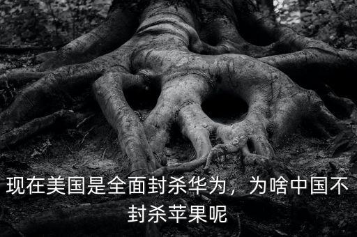 現(xiàn)在美國是全面封殺華為，為啥中國不封殺蘋果呢