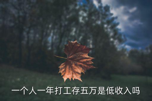 一個(gè)人一年打工存五萬是低收入嗎