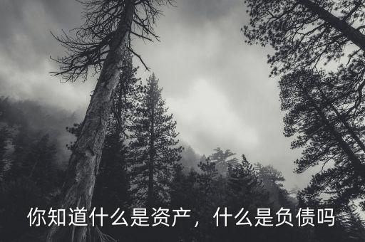 你知道什么是資產(chǎn)，什么是負(fù)債嗎