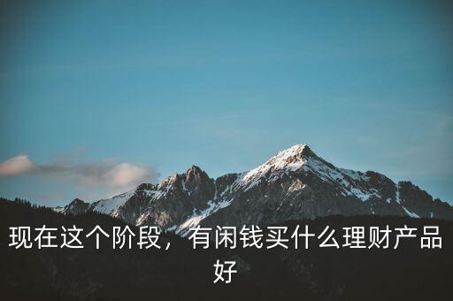 現(xiàn)在這個(gè)階段，有閑錢買什么理財(cái)產(chǎn)品好