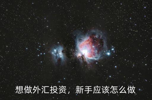 想做外匯投資，新手應(yīng)該怎么做