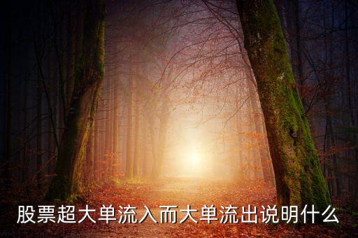 股票超大單流入而大單流出說(shuō)明什么