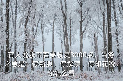 有人說股市若要收復(fù)3000點，當(dāng)務(wù)之急是：停新股、停解禁、停印花稅，你怎么看