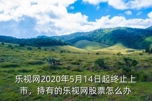 樂視網(wǎng)2020年5月14日起終止上市，持有的樂視網(wǎng)股票怎么辦