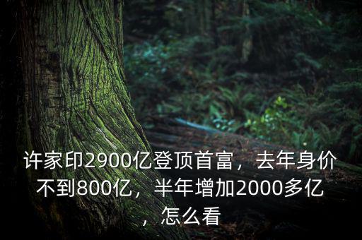 許家印2900億登頂首富，去年身價(jià)不到800億，半年增加2000多億，怎么看