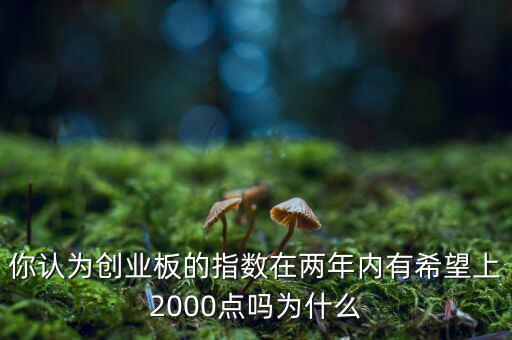 你認為創(chuàng)業(yè)板的指數(shù)在兩年內有希望上2000點嗎為什么