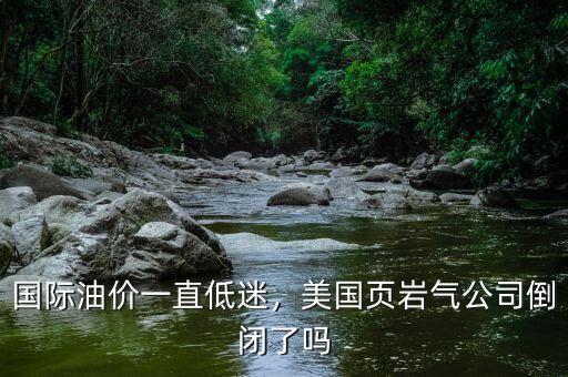 國際油價一直低迷，美國頁巖氣公司倒閉了嗎