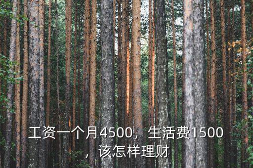 工資一個月4500，生活費1500，該怎樣理財