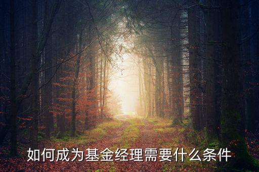 如何成為基金經(jīng)理需要什么條件