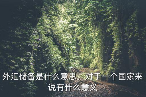 外匯儲(chǔ)備是什么意思，對(duì)于一個(gè)國(guó)家來(lái)說(shuō)有什么意義