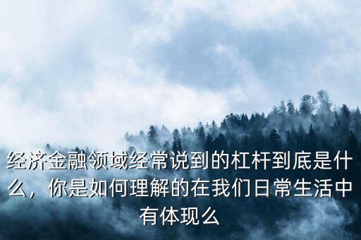 什么是金融力,什么是金融杠桿