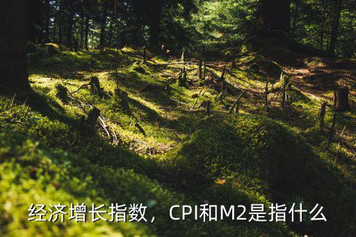 經(jīng)濟(jì)增長(zhǎng)指數(shù)，CPI和M2是指什么