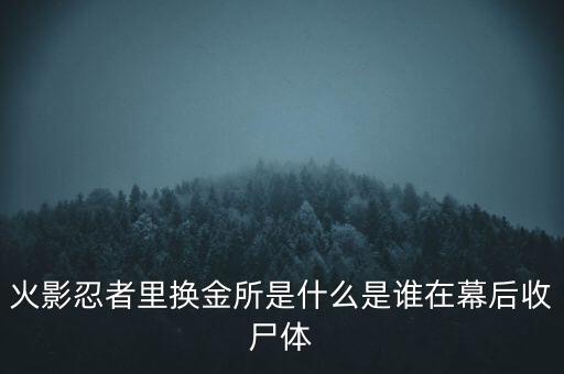 仟金所是什么,是誰在幕后收尸體