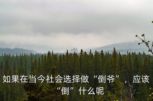 如果在當(dāng)今社會(huì)選擇做“倒?fàn)敗保瑧?yīng)該“倒”什么呢