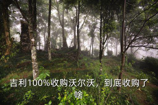 吉利100%收購沃爾沃，到底收購了啥