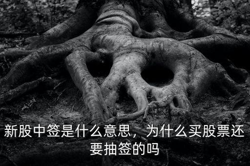 新股中簽是什么意思，為什么買股票還要抽簽的嗎