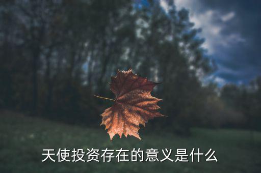 什么風(fēng)險投資意義,天使投資存在的意義是什么