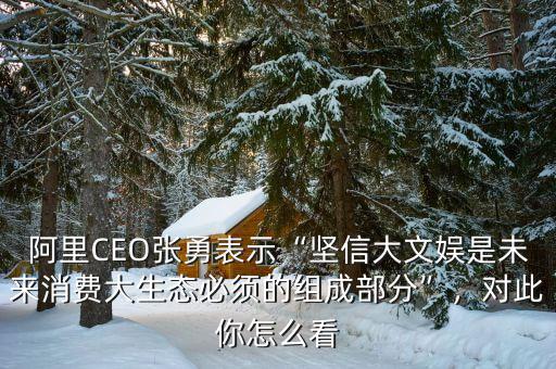 阿里CEO張勇表示“堅信大文娛是未來消費大生態(tài)必須的組成部分”，對此你怎么看