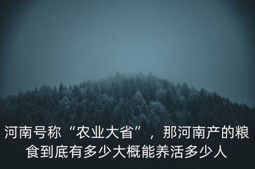 河南號(hào)稱“農(nóng)業(yè)大省”，那河南產(chǎn)的糧食到底有多少大概能養(yǎng)活多少人