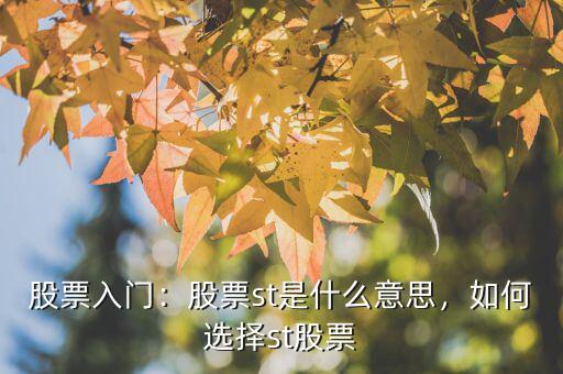 股票入門：股票st是什么意思，如何選擇st股票