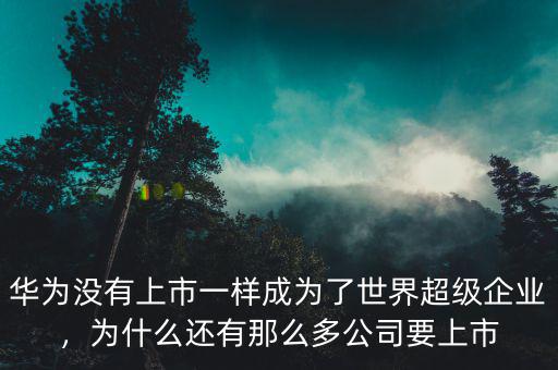 華為沒有上市一樣成為了世界超級(jí)企業(yè)，為什么還有那么多公司要上市