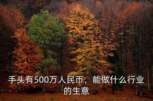 手頭有500萬(wàn)人民幣，能做什么行業(yè)的生意