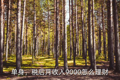 單身，稅后月收入9000怎么理財(cái)