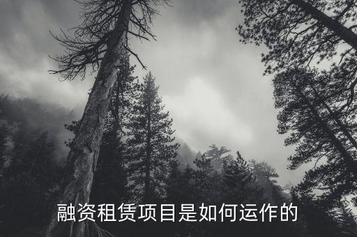 融資租賃項(xiàng)目是如何運(yùn)作的