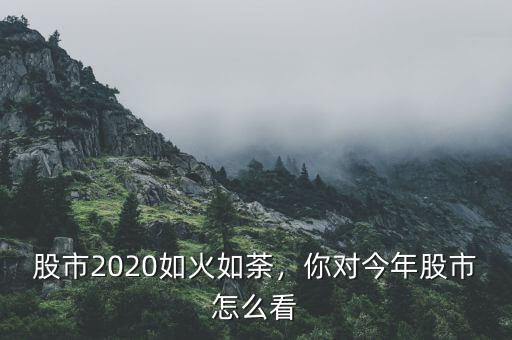 股市2020如火如荼，你對今年股市怎么看