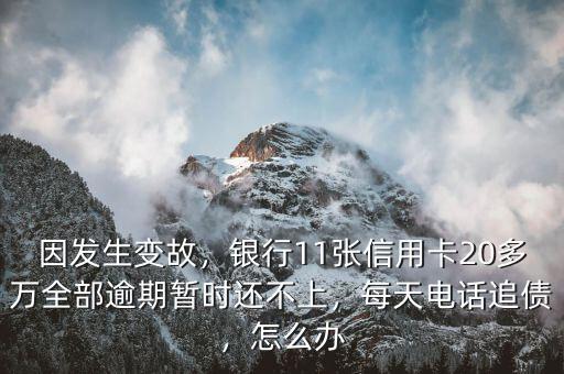 因發(fā)生變故，銀行11張信用卡20多萬全部逾期暫時還不上，每天電話追債，怎么辦