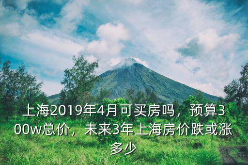 上海2019年4月可買房嗎，預(yù)算300w總價(jià)，未來3年上海房價(jià)跌或漲多少