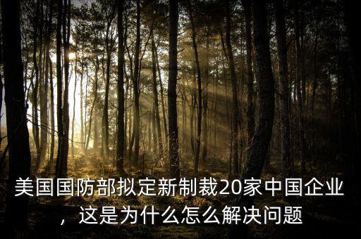 美國國防部擬定新制裁20家中國企業(yè)，這是為什么怎么解決問題