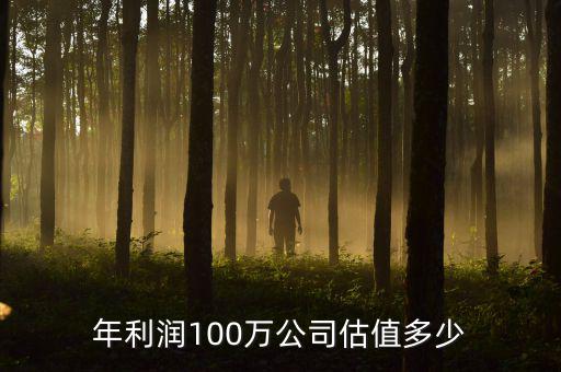 年利潤(rùn)100萬(wàn)公司估值多少