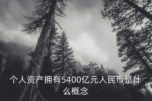 個(gè)人資產(chǎn)擁有5400億元人民幣是什么概念