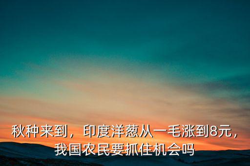 秋種來(lái)到，印度洋蔥從一毛漲到8元，我國(guó)農(nóng)民要抓住機(jī)會(huì)嗎