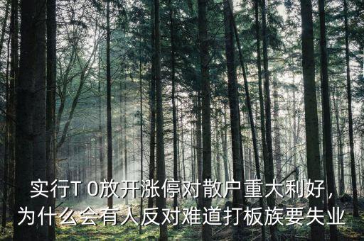 實行T 0放開漲停對散戶重大利好，為什么會有人反對難道打板族要失業(yè)