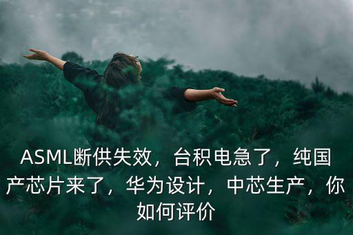 ASML斷供失效，臺積電急了，純國產(chǎn)芯片來了，華為設計，中芯生產(chǎn)，你如何評價