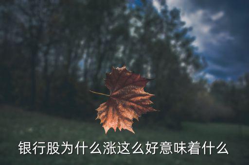 銀行股為什么漲這么好意味著什么