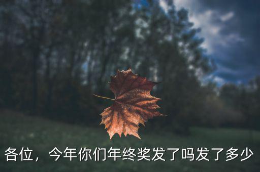 各位，今年你們年終獎發(fā)了嗎發(fā)了多少