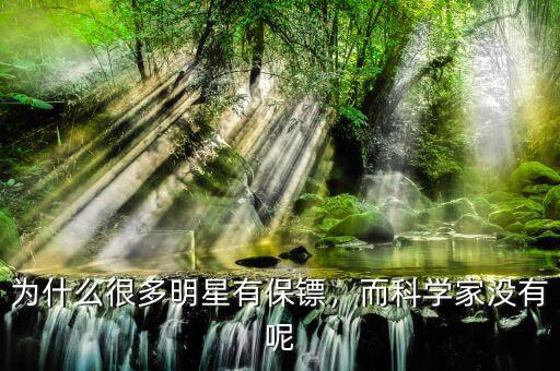 大佬們?yōu)槭裁匆浔ｇS,為什么很多明星有保鏢