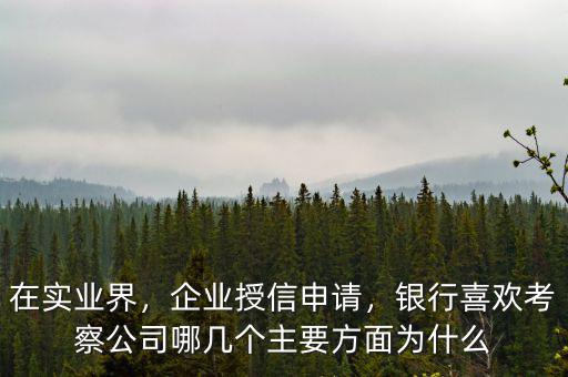 在實業(yè)界，企業(yè)授信申請，銀行喜歡考察公司哪幾個主要方面為什么