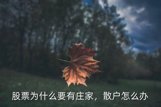 股票為什么要有莊家，散戶怎么辦