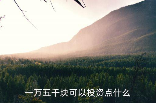 一萬(wàn)五千塊可以投資點(diǎn)什么