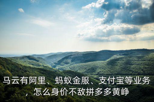 馬云有阿里、螞蟻金服、支付寶等業(yè)務(wù)，怎么身價(jià)不敵拼多多黃崢