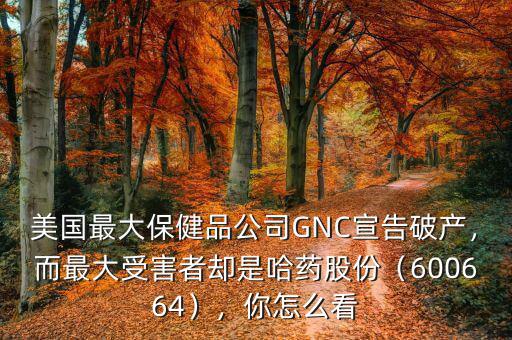 美國最大保健品公司GNC宣告破產(chǎn)，而最大受害者卻是哈藥股份（600664），你怎么看