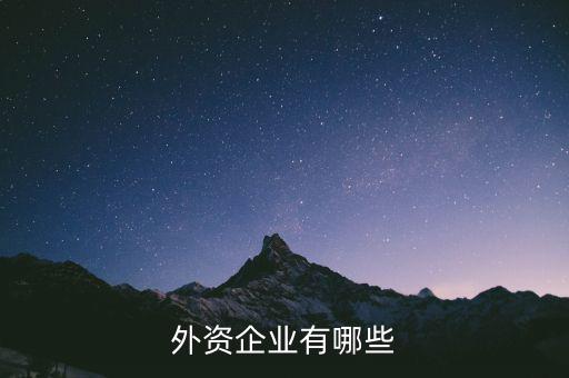 宇星科技是什么外資企業(yè),外資企業(yè)屬于什么性質(zhì)的企業(yè)